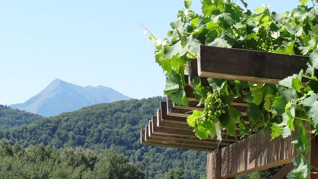 Gites Pyrenees Les Trois Montagnes Ganties Rum bild